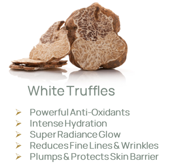 LumiGlow Rich Truffle Creme