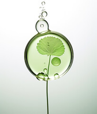 WaterLily Toner Essence
